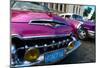 Desoto in Pink-Charles Glover-Mounted Giclee Print