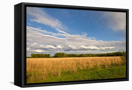 Desoto NWR, Nebraska, USA-Michael Scheufler-Framed Premier Image Canvas