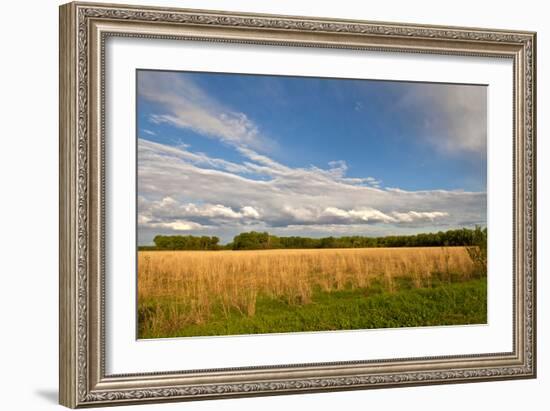 Desoto NWR, Nebraska, USA-Michael Scheufler-Framed Photographic Print