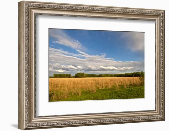 Desoto NWR, Nebraska, USA-Michael Scheufler-Framed Photographic Print