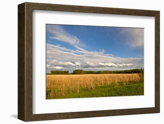 Desoto NWR, Nebraska, USA-Michael Scheufler-Framed Photographic Print