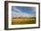 Desoto NWR, Nebraska, USA-Michael Scheufler-Framed Photographic Print