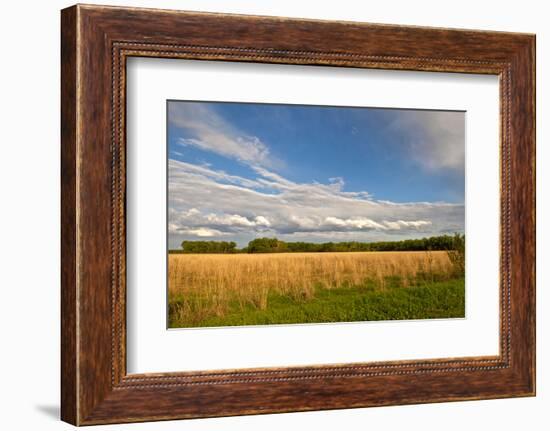 Desoto NWR, Nebraska, USA-Michael Scheufler-Framed Photographic Print