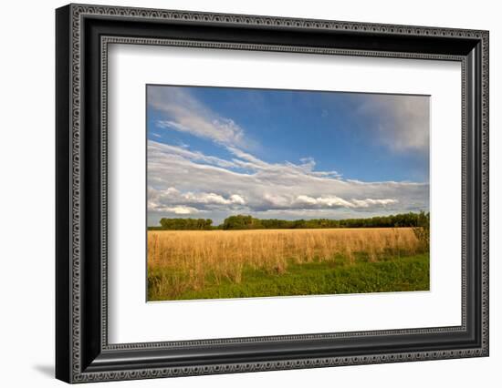 Desoto NWR, Nebraska, USA-Michael Scheufler-Framed Photographic Print