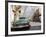 Desoto Station Wagon Car, Montevideo, Uruguay-Per Karlsson-Framed Photographic Print