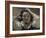 Desperate, Self-Portrait, 1841-Gustave Courbet-Framed Giclee Print