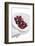 Dessert Chili-Fabio Petroni-Framed Photographic Print