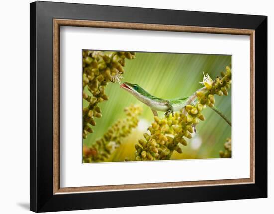 Dessert-null-Framed Art Print