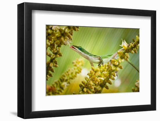 Dessert-null-Framed Art Print