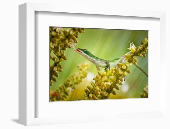 Dessert-null-Framed Art Print