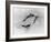 Dessin-Auguste Rodin-Framed Giclee Print