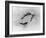 Dessin-Auguste Rodin-Framed Giclee Print