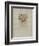 Dessins : La fille Elisa IV-Henri de Toulouse-Lautrec-Framed Collectable Print