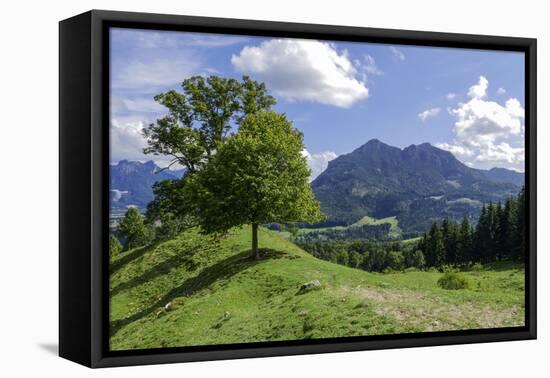 Destination Three Lime-Trees Above Saint Margrethen, Brannenburg, View at Großer Riesenkopf and Reh-Rolf Roeckl-Framed Premier Image Canvas