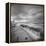 Destiny 10-Moises Levy-Framed Premier Image Canvas