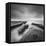 Destiny 11-Moises Levy-Framed Premier Image Canvas