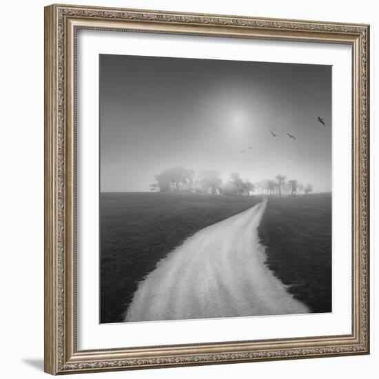 Destiny 1-Moises Levy-Framed Photographic Print