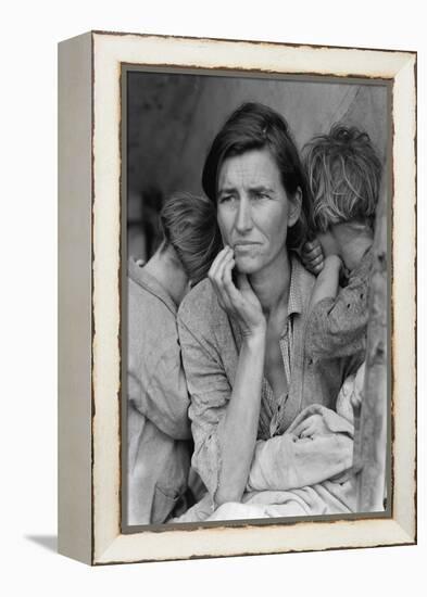 Destitute Pea Pickers-Dorothea Lange-Framed Stretched Canvas