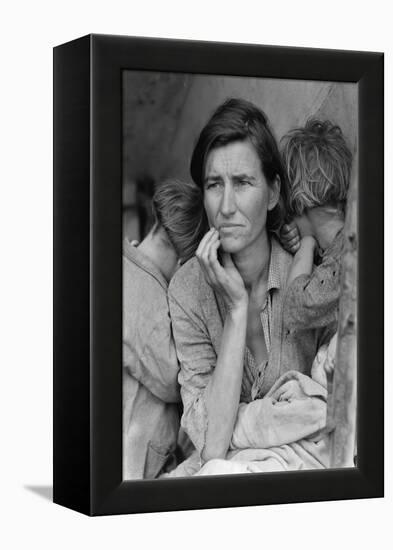 Destitute Pea Pickers-Dorothea Lange-Framed Stretched Canvas