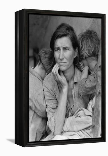 Destitute Pea Pickers-Dorothea Lange-Framed Stretched Canvas