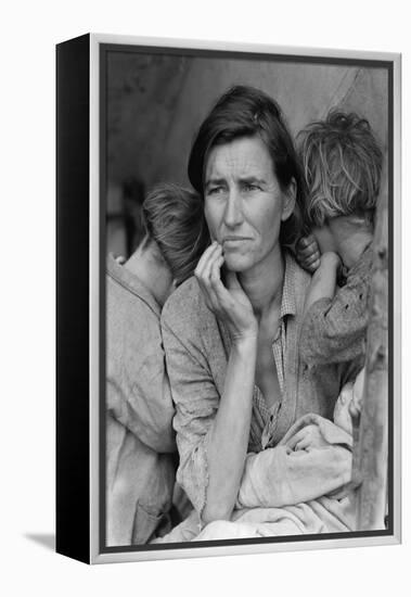 Destitute Pea Pickers-Dorothea Lange-Framed Stretched Canvas