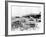 Destroyed Aircraft at Le Bourget Airfield, German-Occupied Paris, July 1940-null-Framed Photographic Print