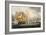 Destruction of Danish Fleet, Copenhagen, c.1801-Thomas Whitcombe-Framed Giclee Print