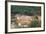 Destruction of Rainforest Caused by Gold Mining, Guyana, South America-Mick Baines & Maren Reichelt-Framed Photographic Print