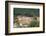 Destruction of Rainforest Caused by Gold Mining, Guyana, South America-Mick Baines & Maren Reichelt-Framed Photographic Print