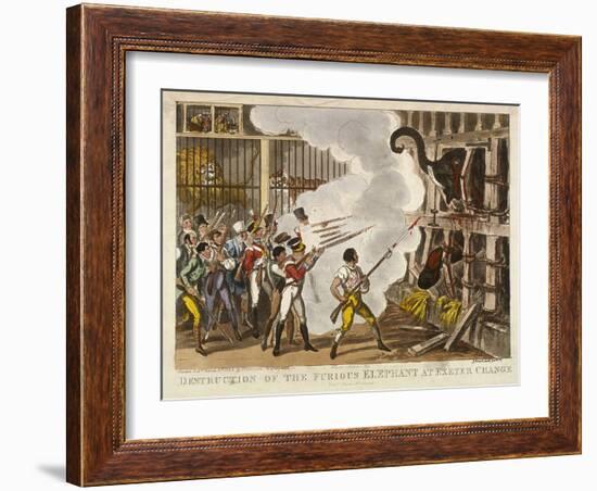 Destruction of the Furious Elephant at Exeter Change, 1826-George Cruikshank-Framed Giclee Print