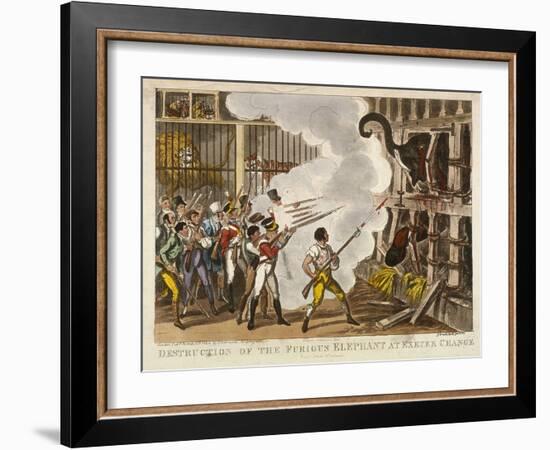 Destruction of the Furious Elephant at Exeter Change, 1826-George Cruikshank-Framed Giclee Print