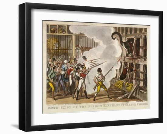 Destruction of the Furious Elephant at Exeter Change, 1826-George Cruikshank-Framed Giclee Print