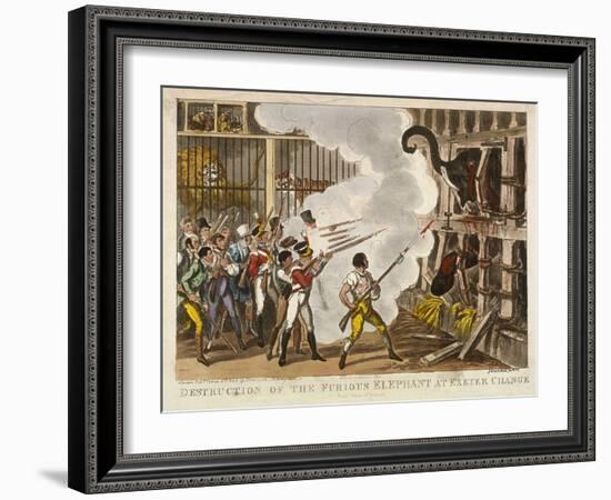 Destruction of the Furious Elephant at Exeter Change, 1826-George Cruikshank-Framed Giclee Print