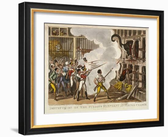 Destruction of the Furious Elephant at Exeter Change, 1826-George Cruikshank-Framed Giclee Print