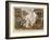 Destruction of the Furious Elephant at Exeter Change, 1826-George Cruikshank-Framed Giclee Print