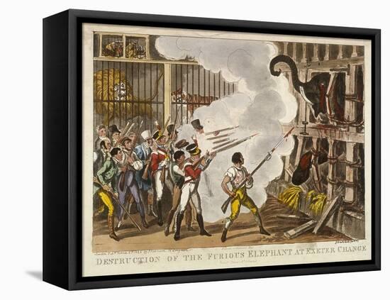 Destruction of the Furious Elephant at Exeter Change, 1826-George Cruikshank-Framed Premier Image Canvas