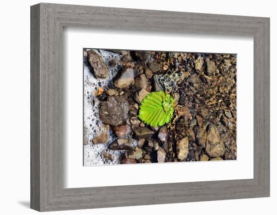 Detached-Heidi Westum-Framed Photographic Print