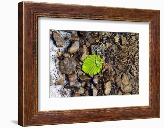 Detached-Heidi Westum-Framed Photographic Print