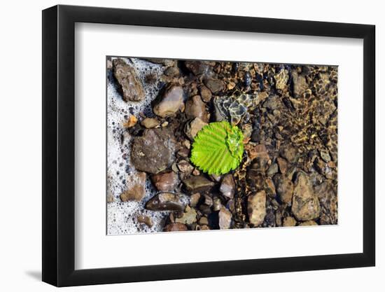 Detached-Heidi Westum-Framed Photographic Print