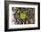 Detached-Heidi Westum-Framed Photographic Print