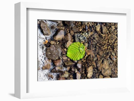 Detached-Heidi Westum-Framed Photographic Print