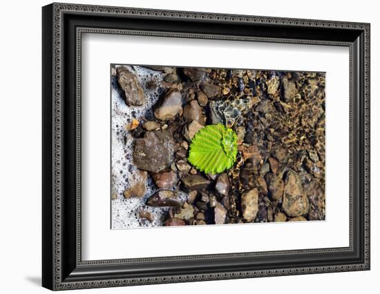 Detached-Heidi Westum-Framed Photographic Print