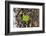 Detached-Heidi Westum-Framed Photographic Print