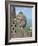 Detail, Buddhist Temple, Borobudur, UNESCO World Heritage Site, Java, Indonesia, Southeast Asia-Harding Robert-Framed Photographic Print