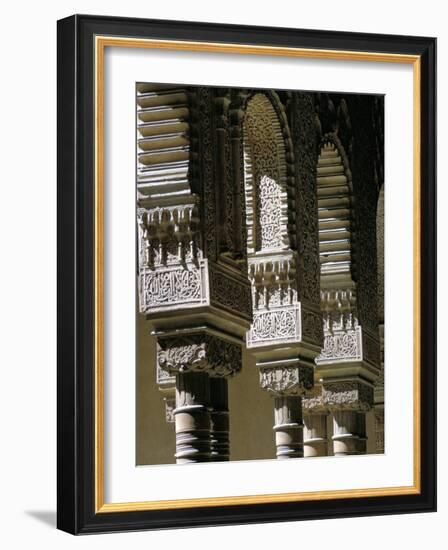 Detail, Court of the Lions, Alhambra, Unesco World Heritage Site, Granada, Andalucia, Spain-Adam Woolfitt-Framed Photographic Print