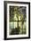 Detail from a Fine Leaded Glass Triptych Window (Wisteria)-null-Framed Giclee Print