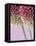 Detail From Allium Plant-null-Framed Premier Image Canvas