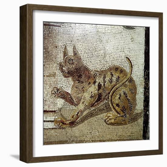 Detail from Roman mosaic showing a cat, Pompeii, Italy. Artist: Unknown-Unknown-Framed Giclee Print