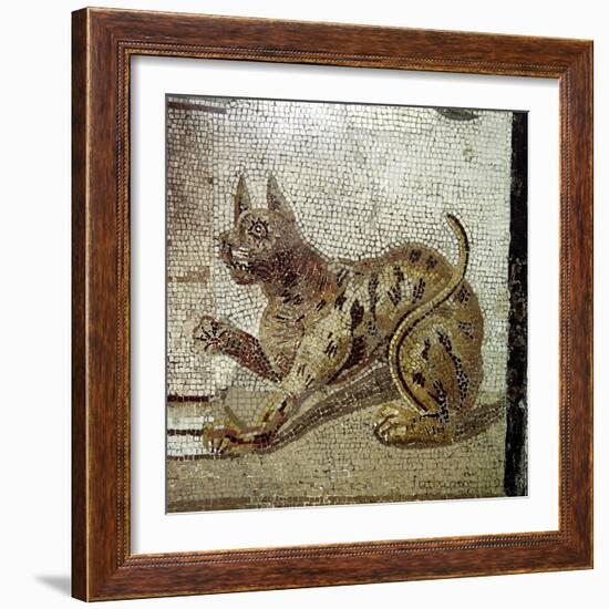 Detail from Roman mosaic showing a cat, Pompeii, Italy. Artist: Unknown-Unknown-Framed Giclee Print