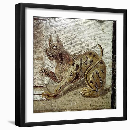 Detail from Roman mosaic showing a cat, Pompeii, Italy. Artist: Unknown-Unknown-Framed Giclee Print